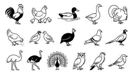 Fototapeta premium Black and White Line Art Bird Icons Set: Diverse Farm, Domestic, and Wild Avian Species Collection