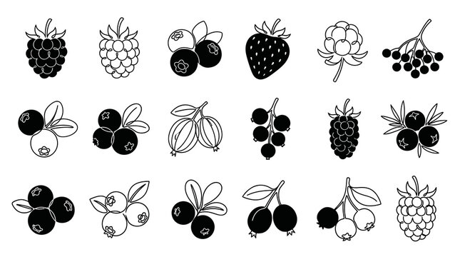 Healthy Food Berries Black and White Line Art and Glyph Icons Set - Outline Fruit Symbols for Nature  Nutrition