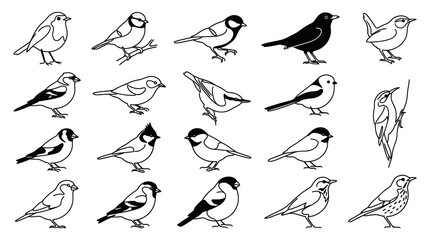 Fototapeta premium Black and White Line Art Illustrations of Various Birds on White Background