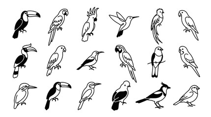 Naklejka premium Black and White Line Art Collection of Various Tropical Birds