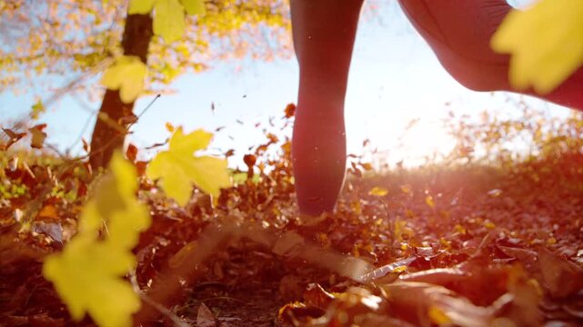 CLOSE UP, DOF, LOW ANGLE, SLOW MOTION, LENS FLARE: Young woman walks through sunlit autumn forest as dry colourful leaves swirl around her feet. Peaceful outdoor walk in fall in golden evening light.