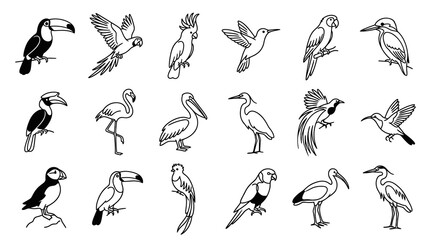 Naklejka premium Black and White Line Art Birds Set: Hand-Drawn Wildlife Avian Collection for Nature Illustrations