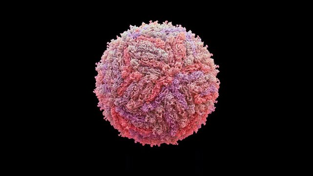 3d structure of cryo-EM zika virus capsid and envelope, icosahedral +ssrna flavivirus, pathogenic and self-replicating, primarily for microcephaly and neurotropic infection, seamless loop animation.