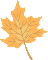 Fototapeta premium Maple Leaf Falling Cartoon