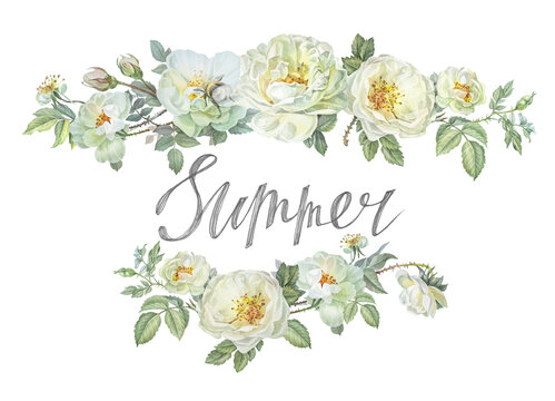 Watercolor horizontal border with flower dog rose and lettering word Summer isolated on white background. Branch with leaves and wild rose hip. Botanical clipart for tea wallpaper or wrapping kitchen