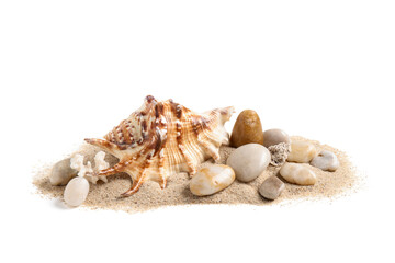 Obraz premium Tropical beach vacation and summer travel concept, seashell with sand and pebbles isolated on a white background