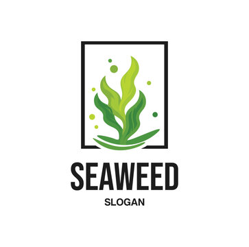 Seaweed Logo Design template Illustration Vector