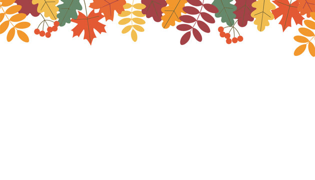 Beautiful autumn leaves border design featuring oak, maple, and rowan leaves on a clean white background.