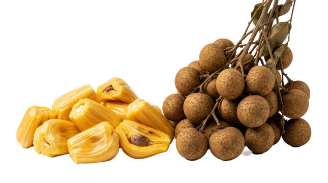 Fresh jackfruit pods placed beside cluster brown longan fruits captured within studio lighting against clean white background
