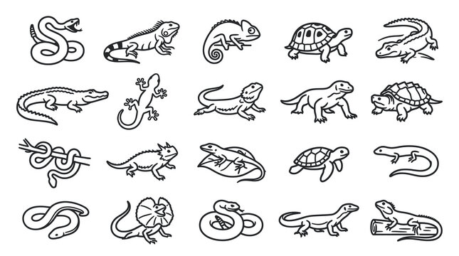 Black and White Line Art Icons of Reptiles and Amphibians