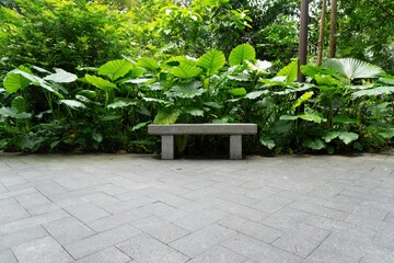Naklejka premium Empty stone bench surrounded by lush green foliage