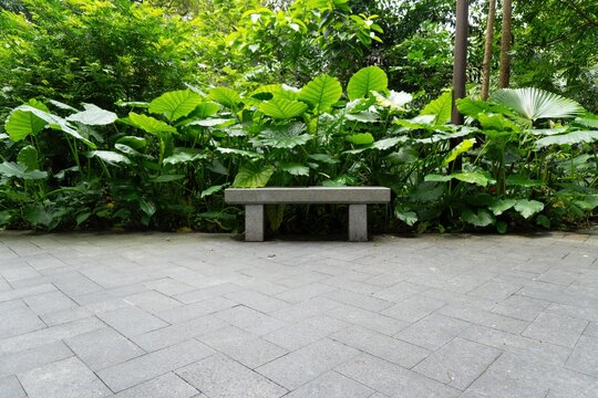 Empty stone bench surrounded by lush green foliage