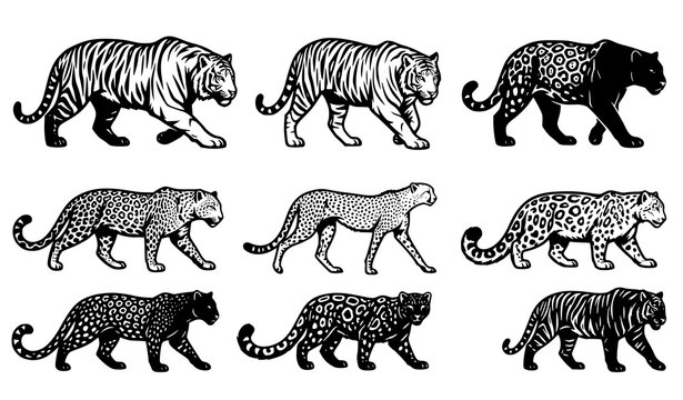 Exotic Big Cat Black Silhouette Vector Set with Tiger, Bengal Tiger, Siberian Tiger, Leopard, Jaguar, Panther, Cheetah and Snow Leopard