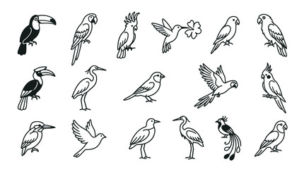 Naklejka premium Black and White Line Art Vector Collection of Various Birds