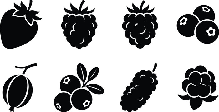 Set of fresh berries black vector icons featuring strawberry raspberry blueberry and blackberry for food designs
