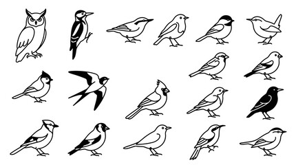 Naklejka premium Black and White Line Art Collection of Various Birds for Design