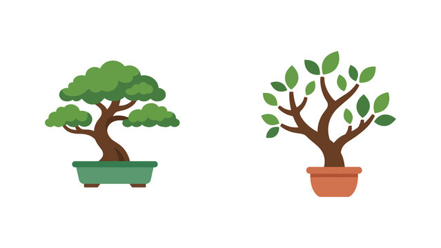 Set of two potted bonsai trees with green foliage and brown trunks, stylized vector illustration of miniature ornamental plants in ceramic pots isolated on transparent background