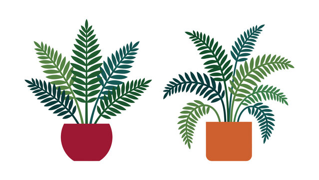 Two potted fern plants with green leaves in red and orange ceramic pots, flat vector illustration of indoor house plants isolated on transparent background