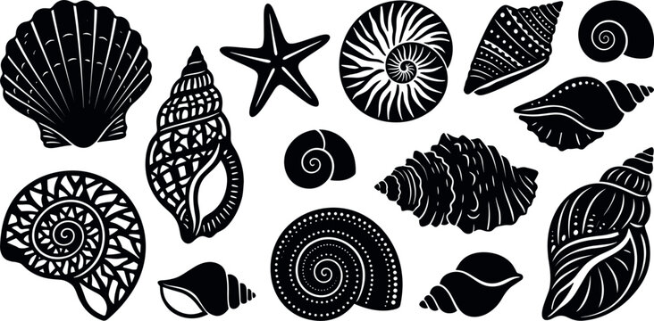 Detailed sea shell silhouette vector set with black marine starfish conch scallop and ammonite isolated on white background