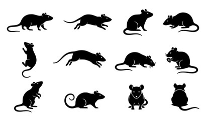 Obraz premium Rat Silhouette Vector Illustration Set Black Mouse Collection with Twelve Different Poses Running Climbing and Sitting Positions