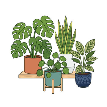 Collection of Potted Tropical Houseplants Arranged on a Wooden Shelf Isolated on White Background for Interior Decoration