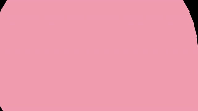 Pink radial bar wipe transition with sunburst rays expanding from center, transparent background