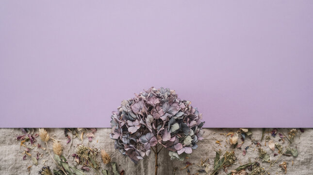 A large dried hydrangea blossom is precisely positioned at the bottom of the frame against a soft purple background and a vast expanse