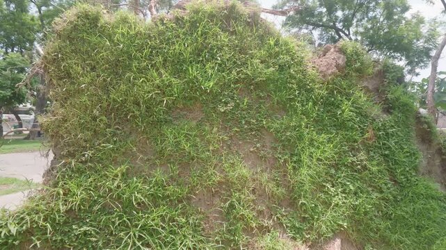 naturaleza, camino, c&eacute;sped, &aacute;rbol, paisaje, bosque, verano, f&aacute;brica, huerta, acu&aacute;tico, carretera, r&iacute;o, aparcar, gemas, cielo, primavera, arrastrar, madera, hojas, campesina, campa, al aire libre, mont