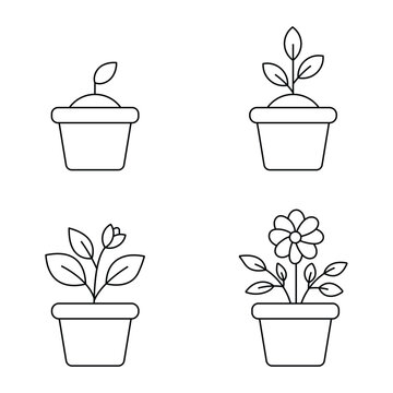 Set of four line art icons showing the growth stages of a potted plant from sprout to blooming flower