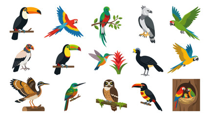 Naklejka premium Flat Design Vector Illustration of Colorful Tropical Birds Species Collection - Exotic Wildlife Set