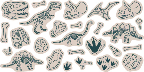Collection of dinosaur skeletons and fossils, including T-Rex, Triceratops, and Stegosaurus, presented as stylized illustrations. © Riki
