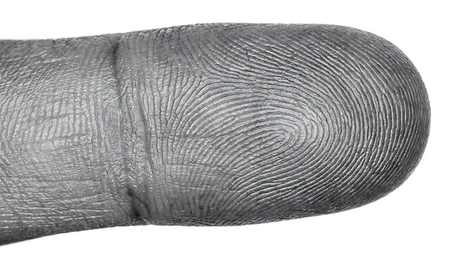 Detailed black and white macro photograph showing the unique ridges, swirls, and loops of a human fingerprint on a finger