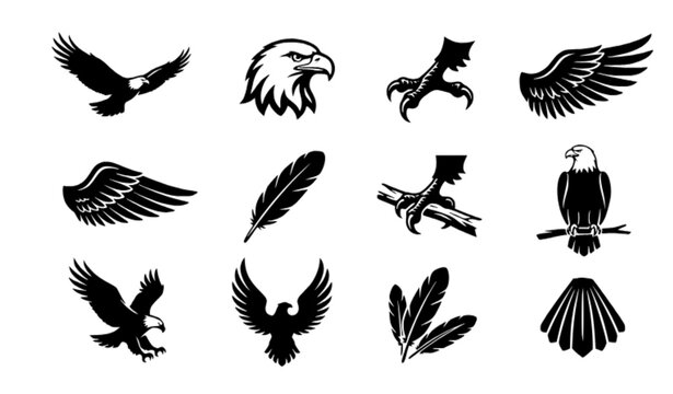 Bold Eagle Silhouette Collection with Wings, Feathers and Talons