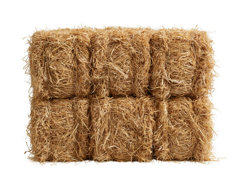 Stack of dry golden hay bales isolated on white background for agricultural design.