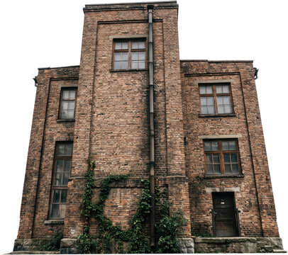 Low angle view of an old industrial brick building facade featuring weathered masonry walls tall wooden framed windows vintage drain pipe and creeping green ivy plants climbing below