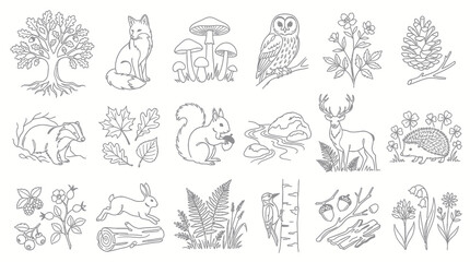 Obraz premium Forest Wildlife Line Art Collection: Black White Nature Illustrations of Animals, Plants, and Trees