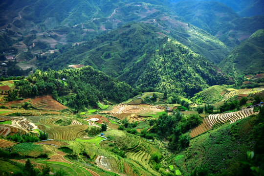 Stunning aerial view of vibrant green rice terraces in Sapa, Vietnam. A world-famous landmark featuring breathtaking natural landscapes and traditional agricultural beauty. 