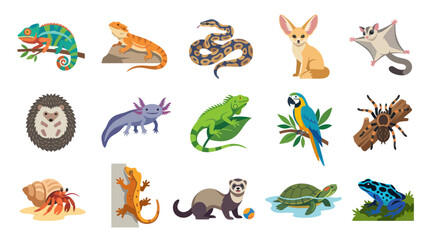 Obraz premium Flat Vector Animals Collection: Reptiles, Mammals, Amphibians, Insects, Birds