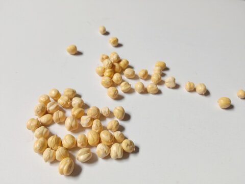 Dried Chickpeas Scattered on White Background with Natural Shadows