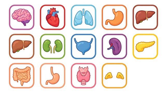 Colorful set of twelve 3D rendered brain-shaped icons in gradient pastel