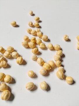 Dried Chickpeas Scattered on White Background with Natural Shadows