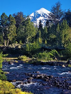 Snow capped Lanin volcano behind forest and mountain river with rocks, Patagonia