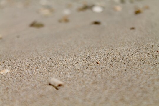 A minimalist, low-angle photograph capturing scattered small seashells and weathered pebbles on a smooth sand surface at Tanjung Lesung Beach, Banten, Indonesia. Warm natural sunlight highlights the f