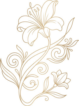 Elegant hand drawn lily flower illustration with decorative floral swirls and leaves in a delicate line art style
