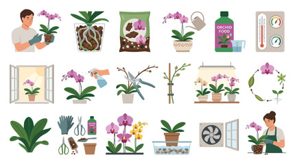 Fototapeta premium Flat Vector Illustration Set for Orchid Care, Growing, and Planting with Gardening Tools, Maintenance Steps