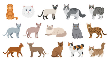 Obraz premium Diverse Cat Breeds Collection Flat Design Vector Illustration