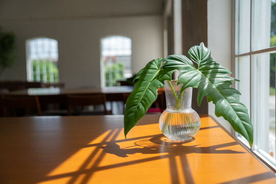 fresh tropical green leaf in a clear ribbed glass vase placed on a wooden table, illuminated by warm sunlight streaming through a large window in a serene and minimalist cafe interior.