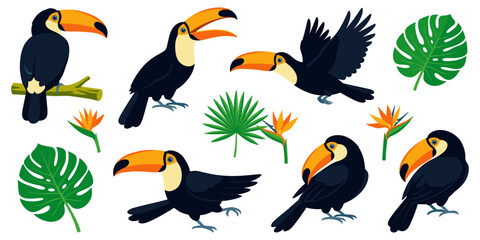 Naklejka premium Tropical toucan bird cartoon vector character set with monstera leaves and flowers