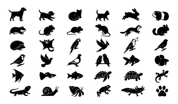 Household Companion Animal Mega Silhouette Icon Collection
