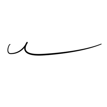 Handdrawn line art flick loop black ink flourish